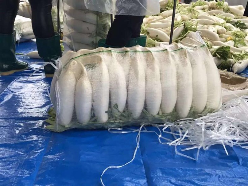 白萝卜