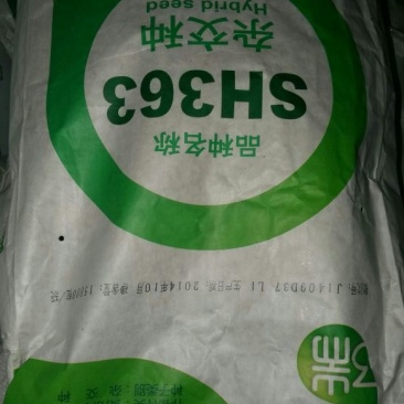 葵花种子