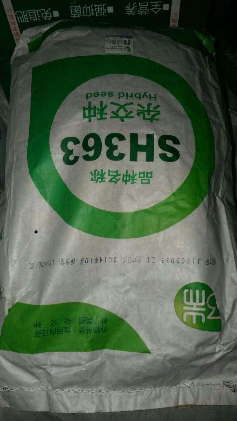 葵花种子
