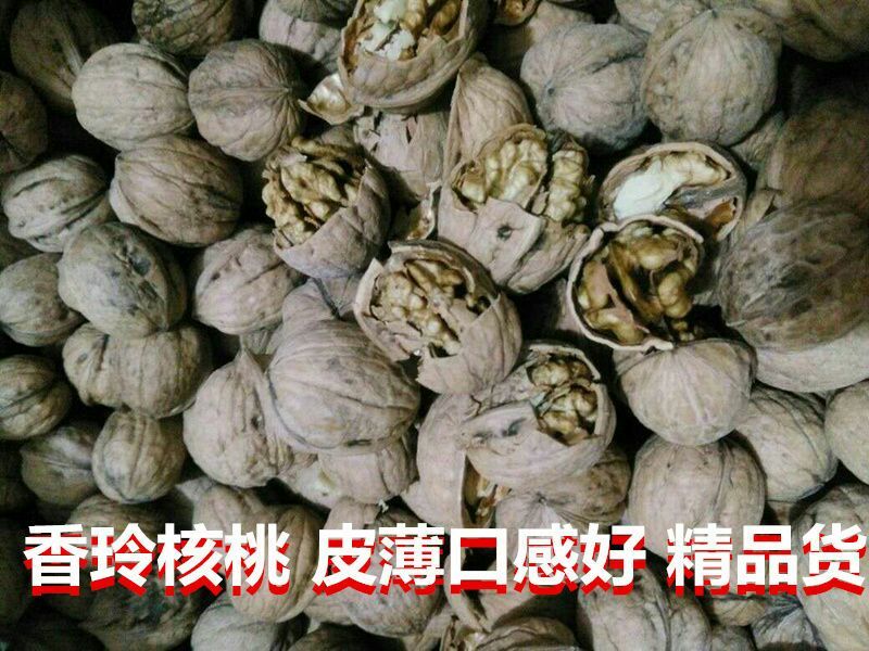 纸皮核桃去皮干