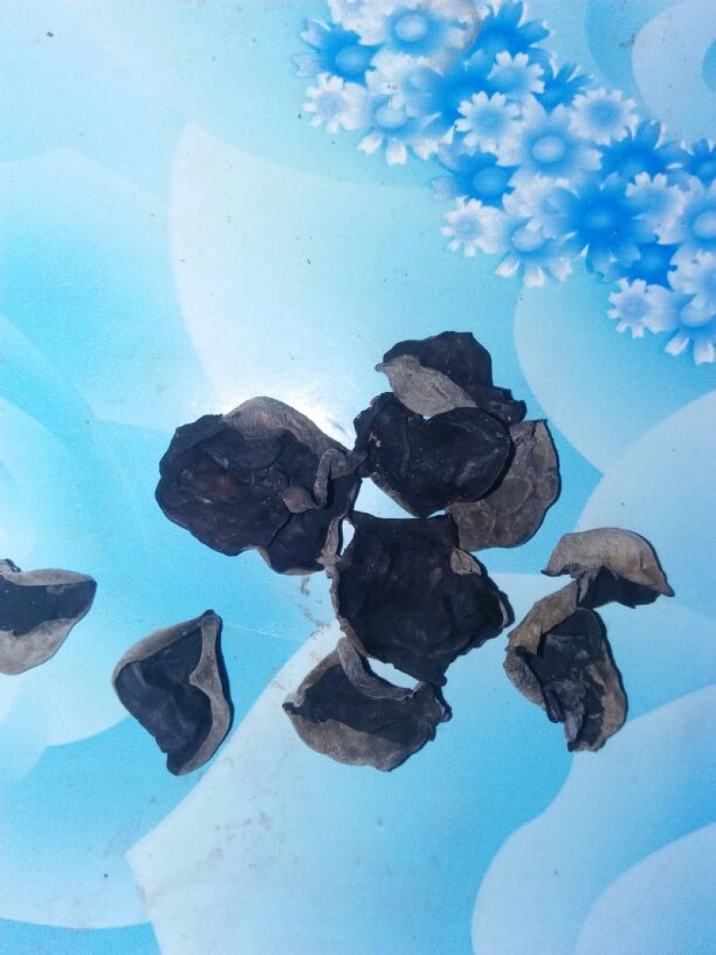 干木耳一级