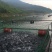 河鲤鱼
