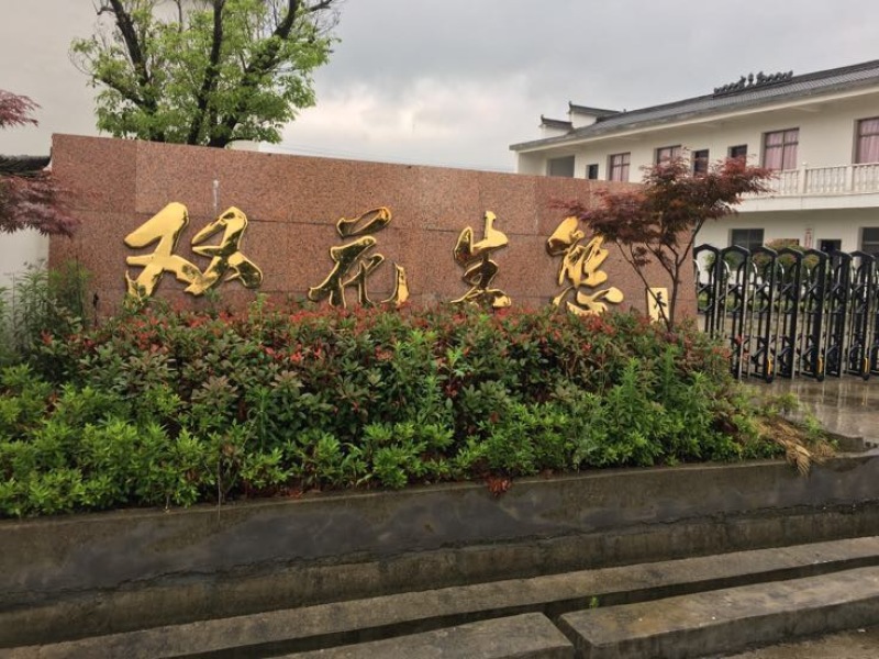 土鸡苗
