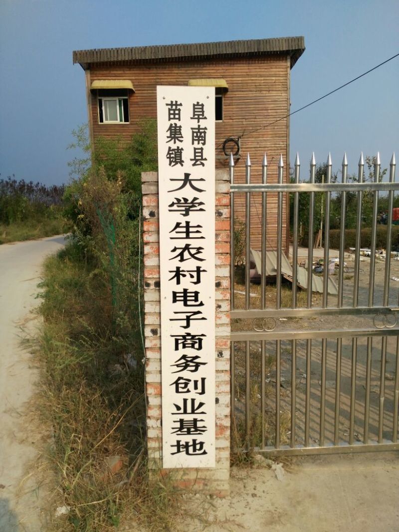 晚秋黄梨500~550g纸袋