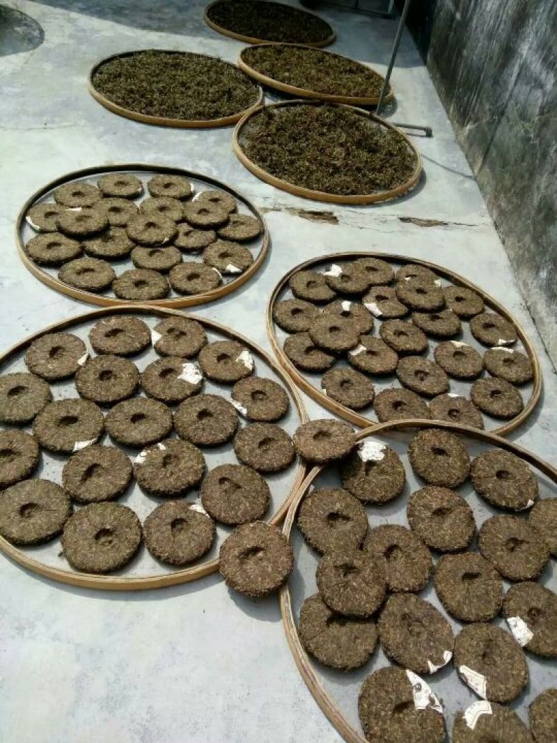 茶饼特级