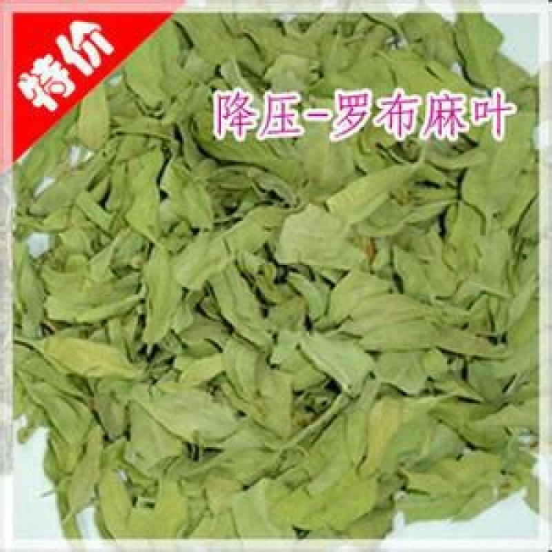 罗布麻叶