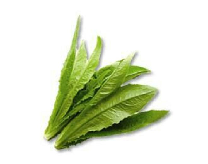 油麦菜