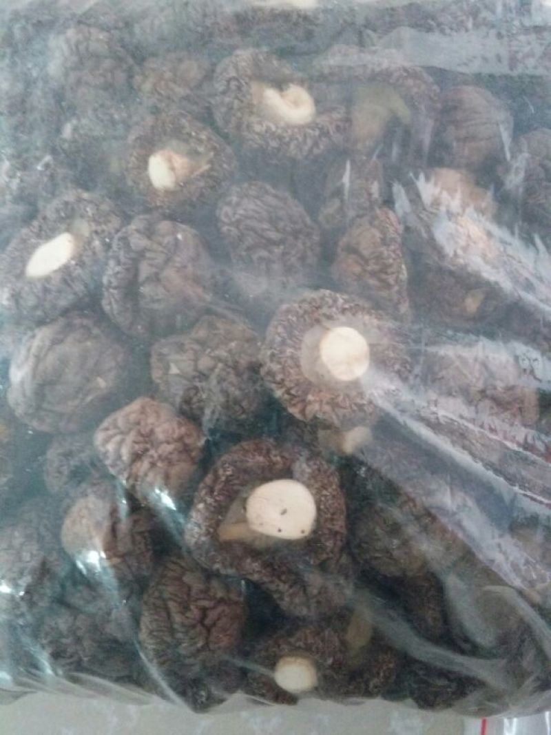 干香菇