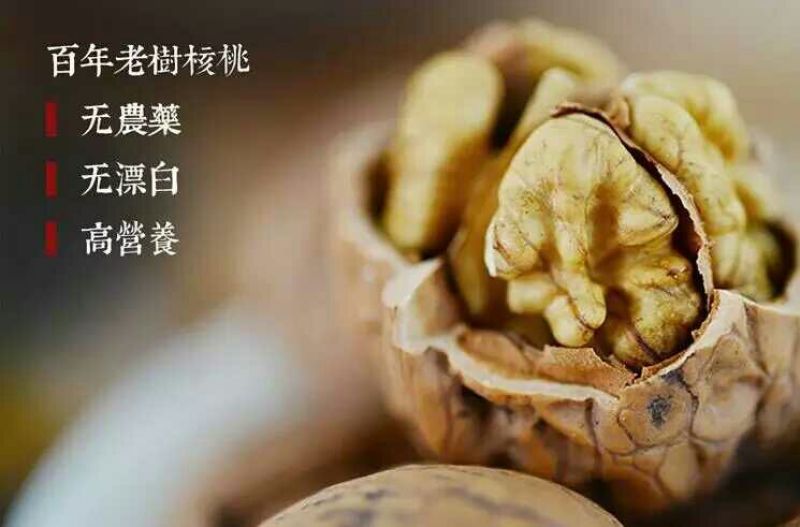 野生核桃