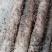 白玉山药2~3厘米25~30厘米一级