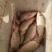 池鲤鱼食用1~2公斤