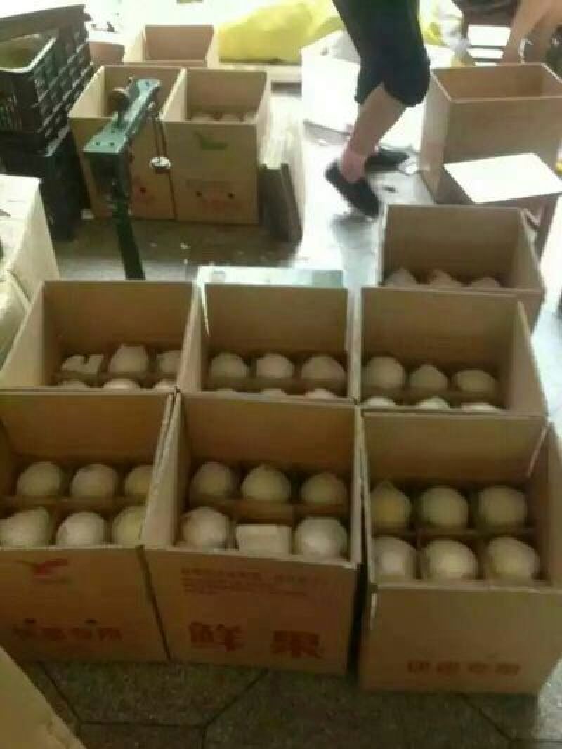 礼泉酥梨300~350g纸袋
