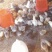 脱温鸡1斤以上