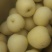皇冠梨250~300g纸袋