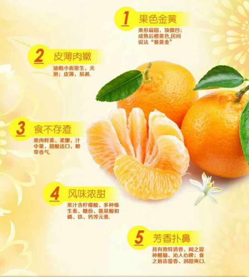 大量供应南丰蜜橘带叶果，光头果，通货，0.4元-0.8元