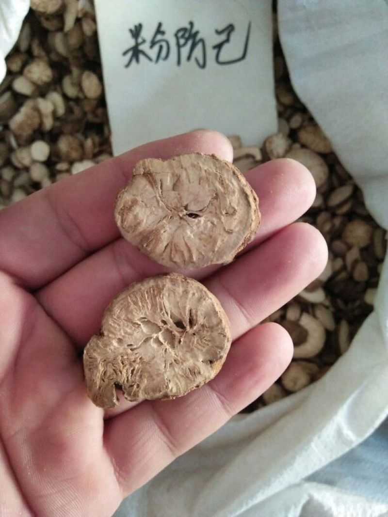 防己