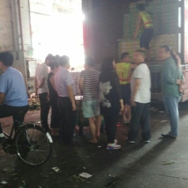 东方密1号哈密瓜2斤以上椭圆形