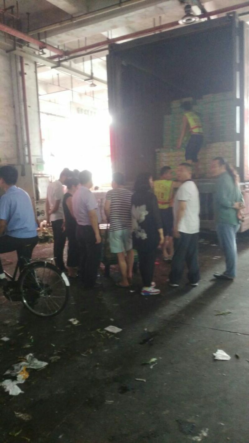 东方密1号哈密瓜2斤以上椭圆形