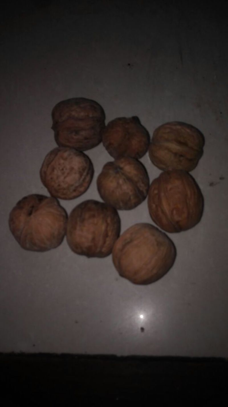 核桃去皮干