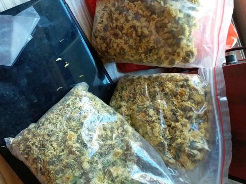 杭州白菊袋装