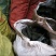 木炭95%以上烧烤炭