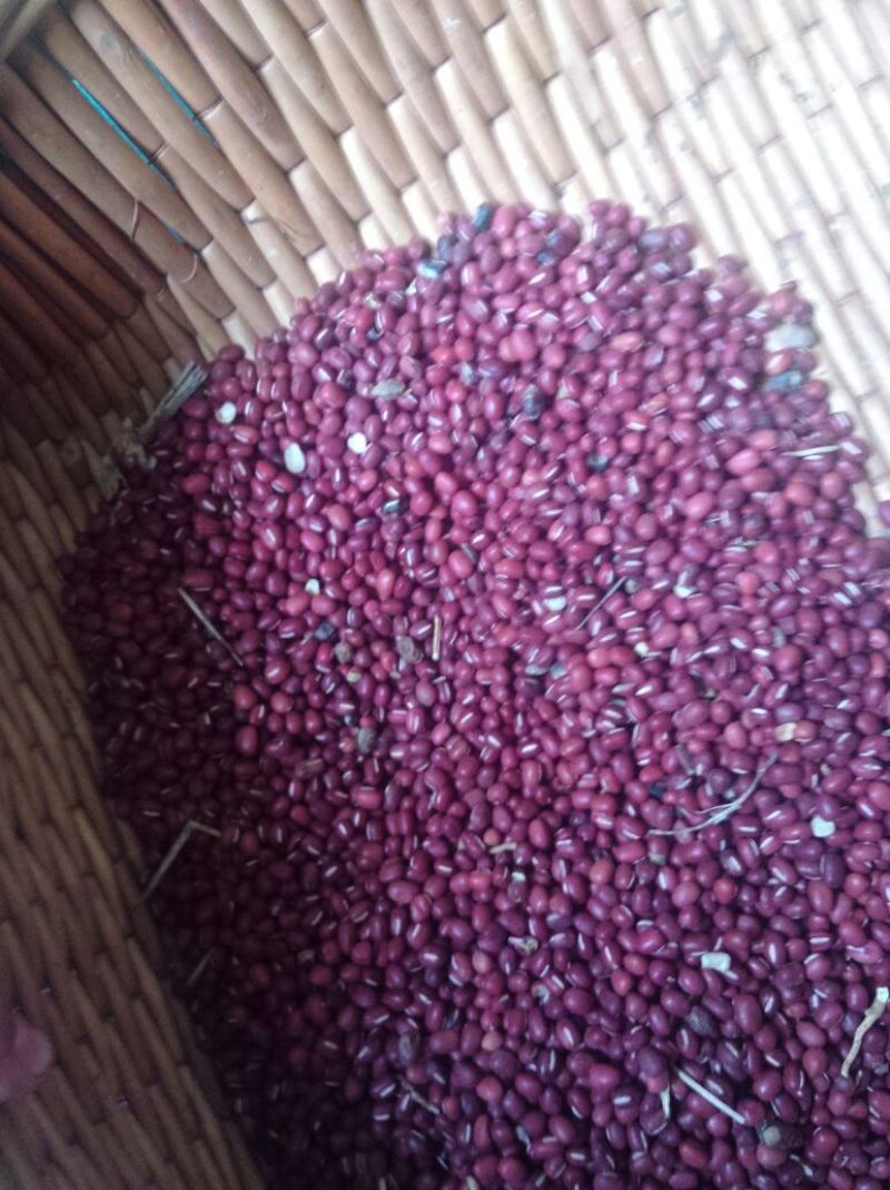 红小豆散装