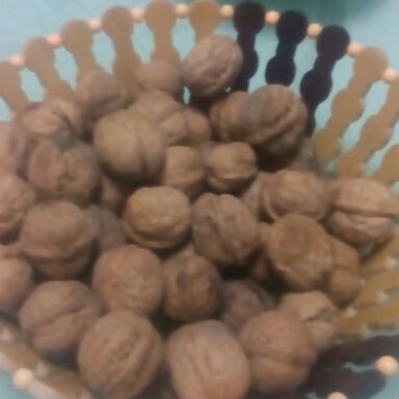 新疆核桃