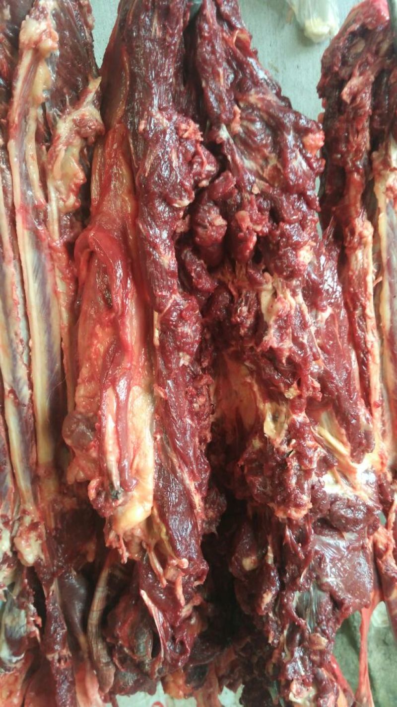 驴肉鲜货