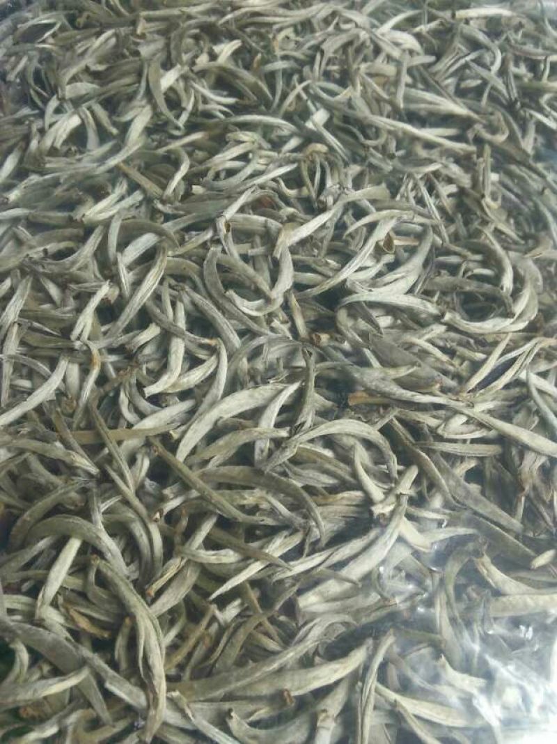 月光白