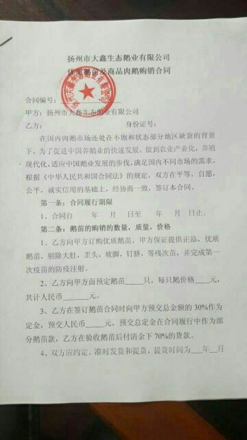 皖西白鹅苗250g以上