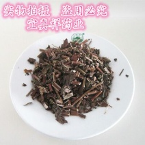 薄荷全草统