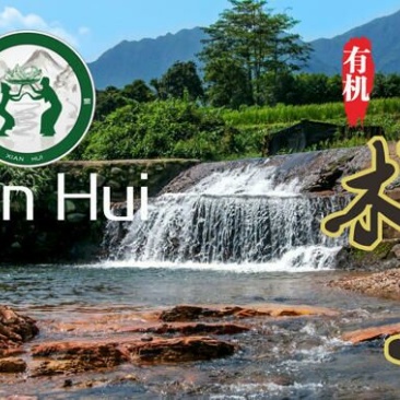黑木耳一级