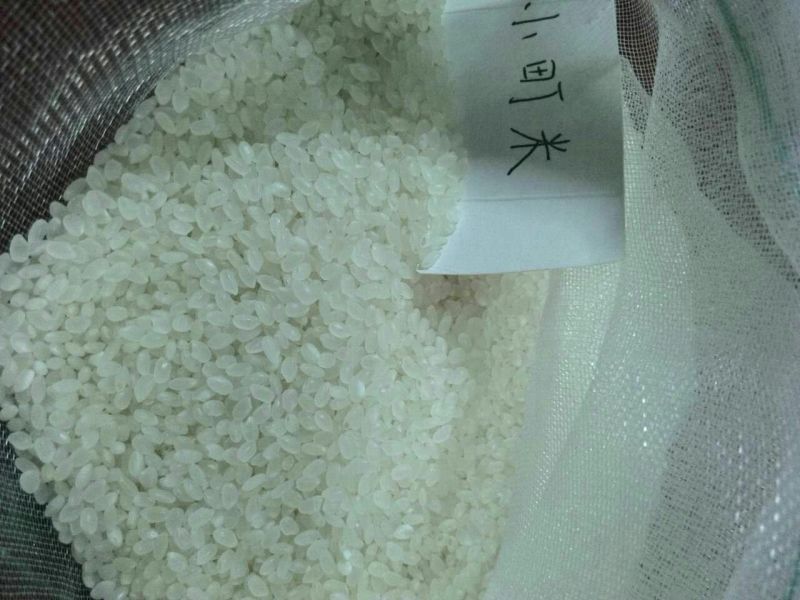 秋田小町大米新米特级产地直供货源充足