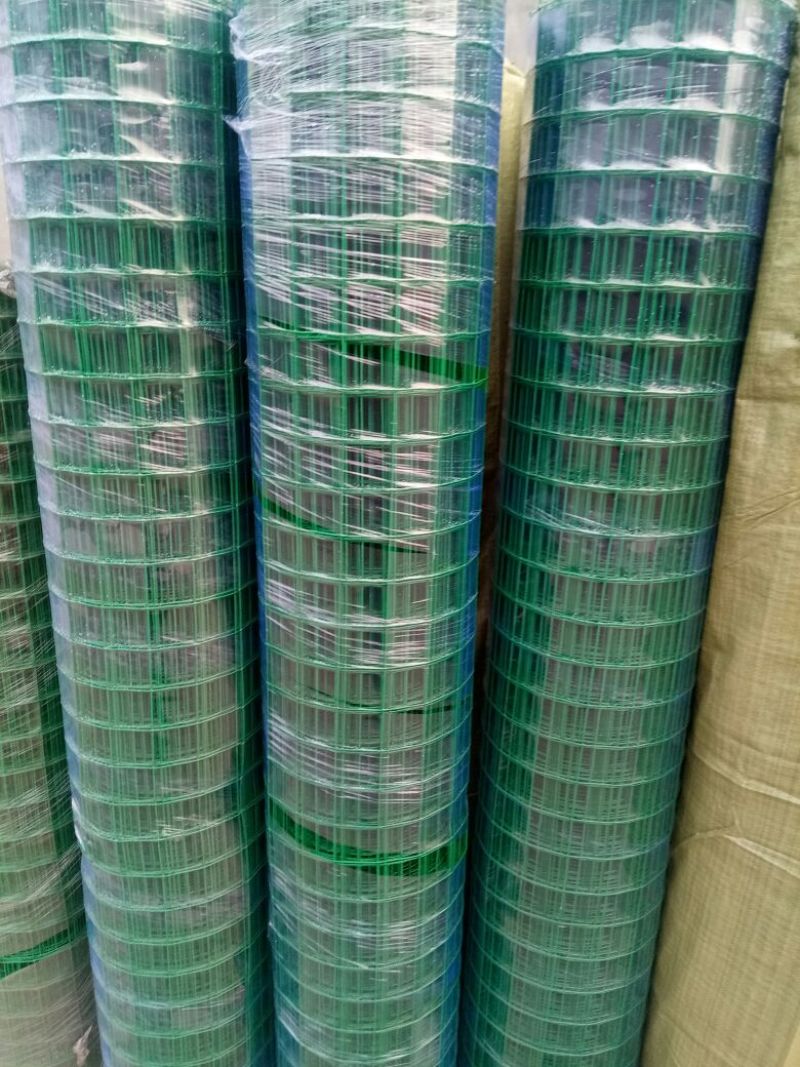 荷兰网50*50mm