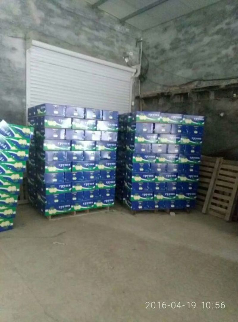 白梨500~550g纸加膜
