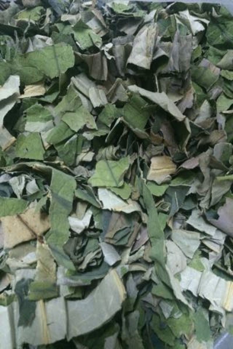 荷叶茶