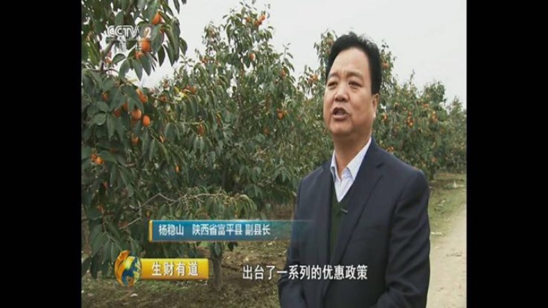 柿子醋