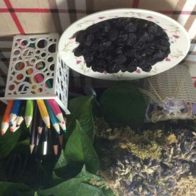 夏黑葡萄干无核一级