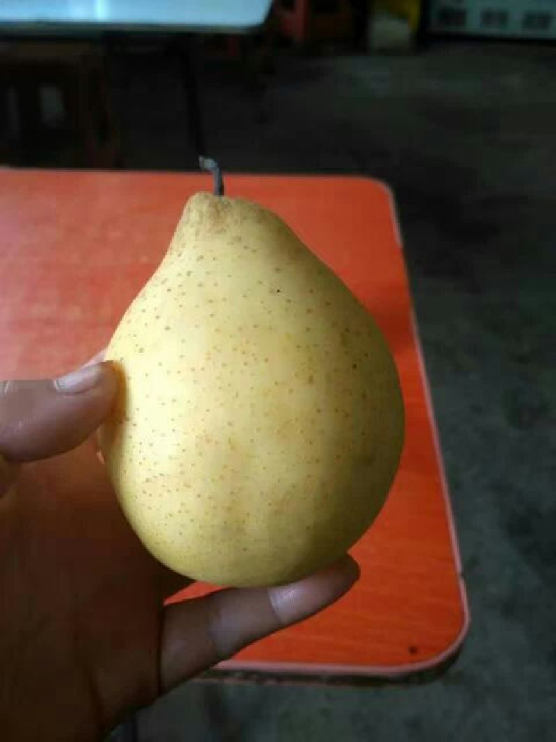 鸭梨纸袋