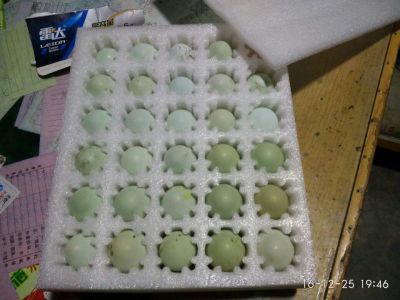 绿壳鸡蛋食用40~50g