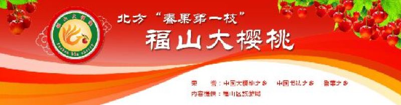 美早樱桃20mm以上