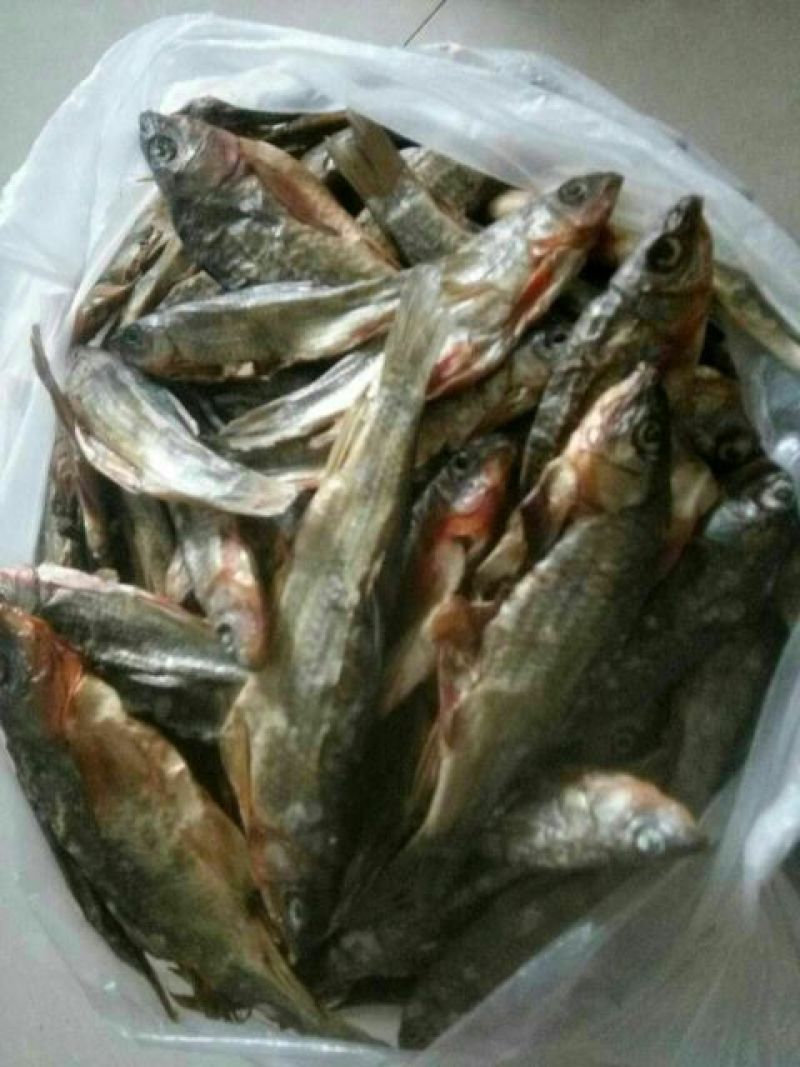 河汊小干鱼