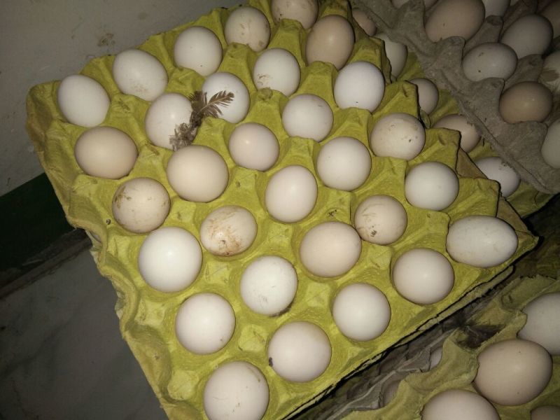 土鸡蛋食用50g以下