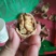 香玲核桃25mm以下去皮干