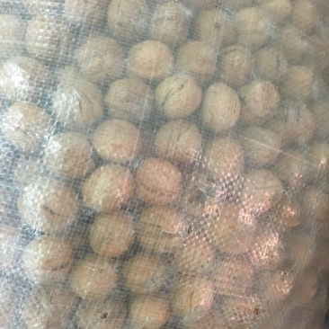 薄皮核桃
