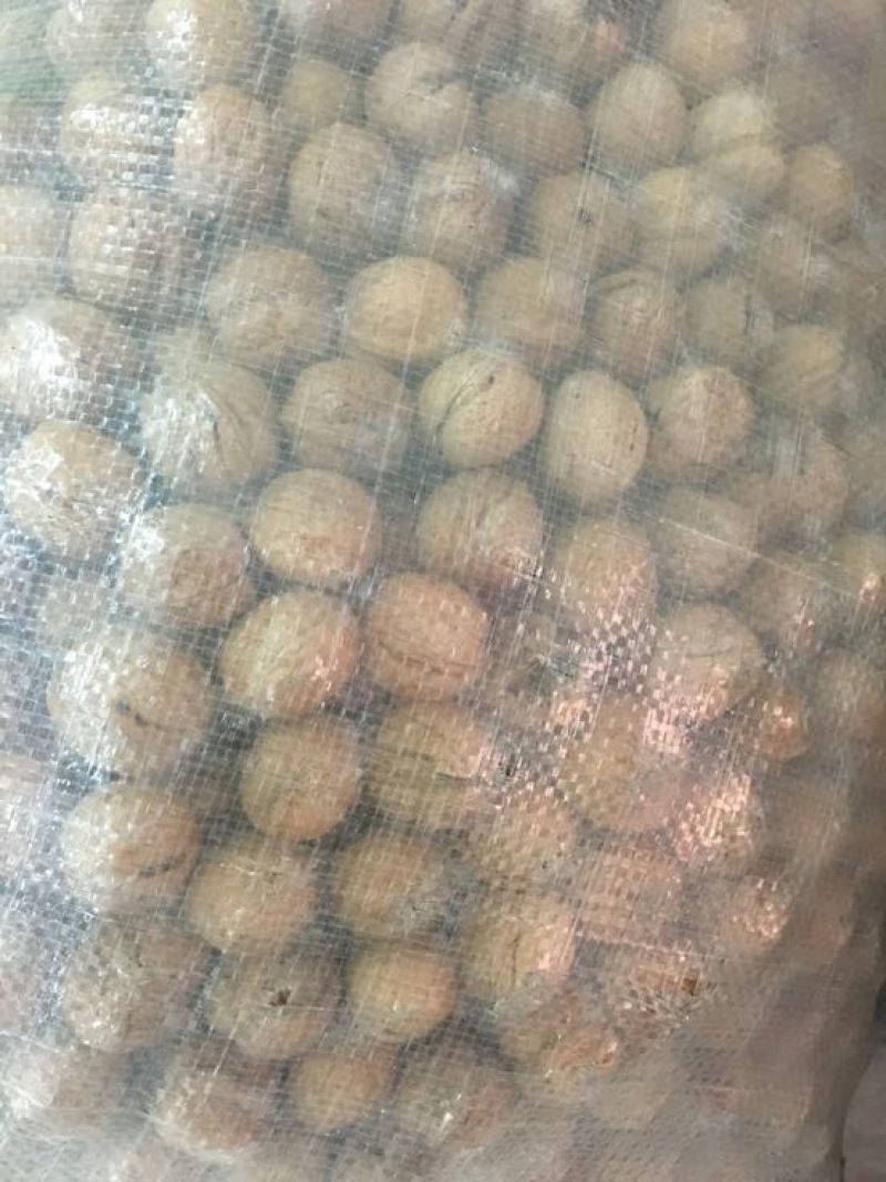薄皮核桃