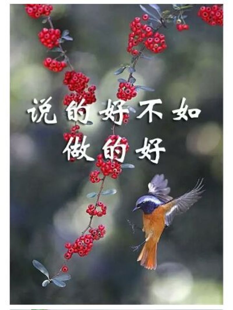 鲜椒酱