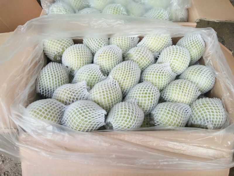 鸭梨200~250g纸加膜