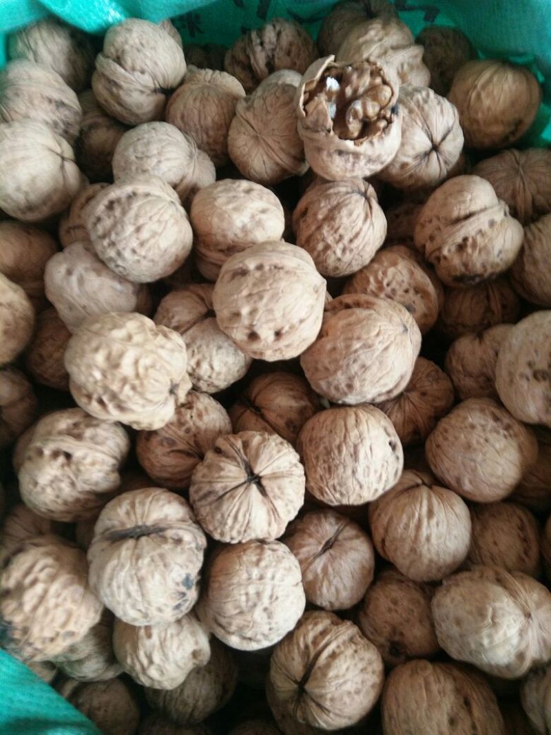 薄皮核桃去皮干