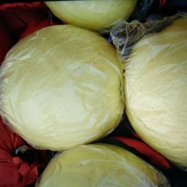 黄金梨350~400g纸袋